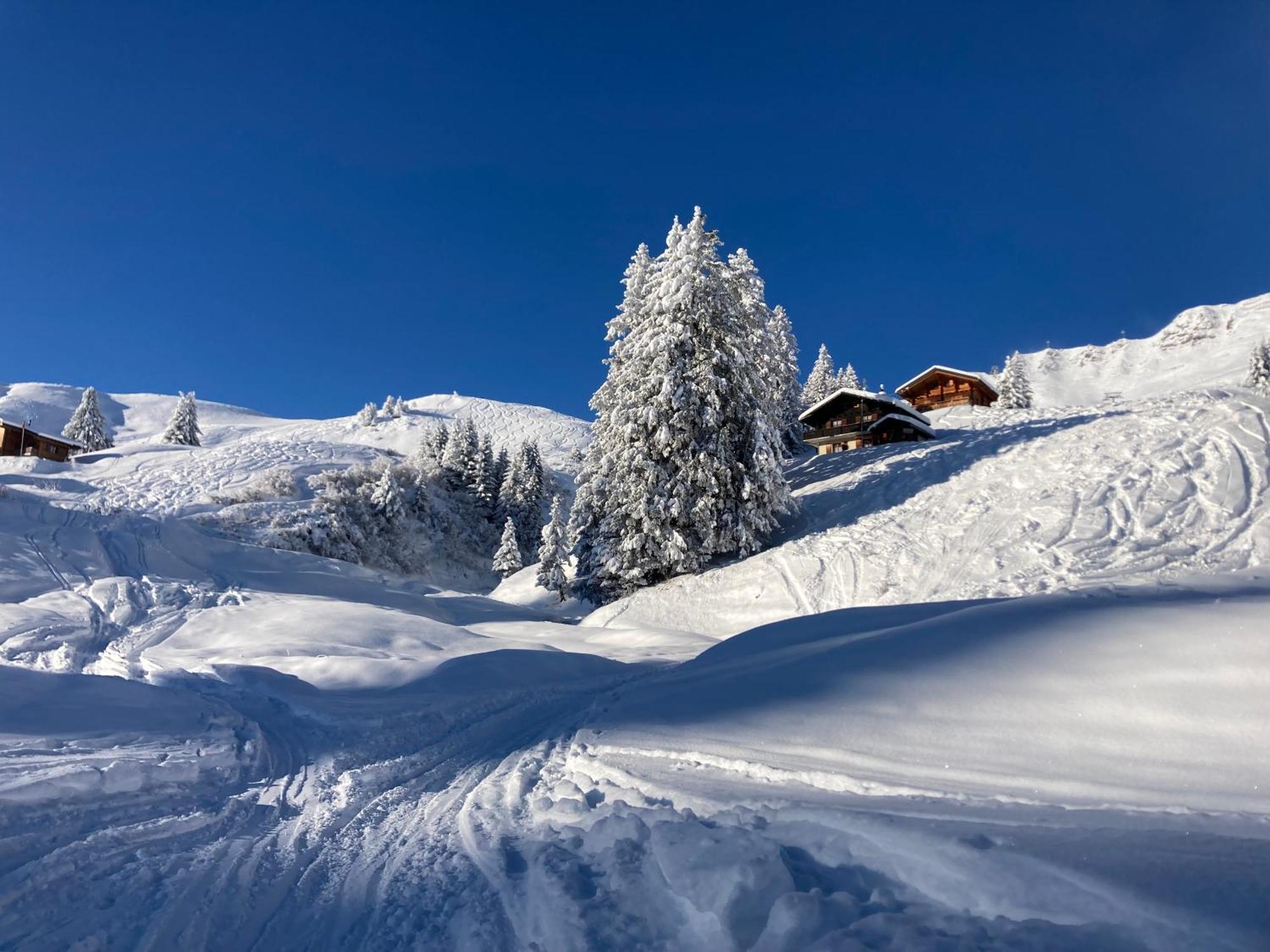 B&B Chalet Rey-Bellet Les Crosets Exteriér fotografie